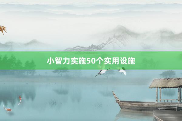 小智力实施50个实用设施