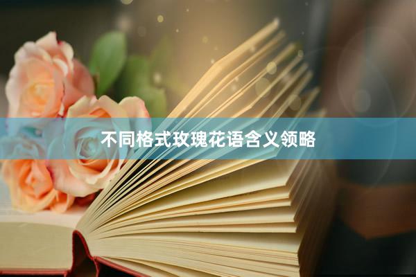 不同格式玫瑰花语含义领略